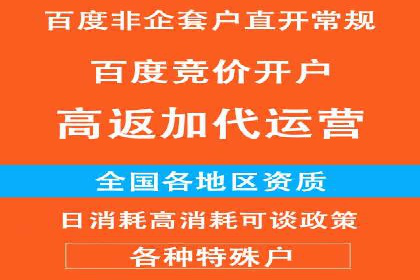 网络推广竞价实战案例分析集